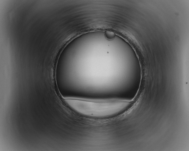 X0000094420881200711080956