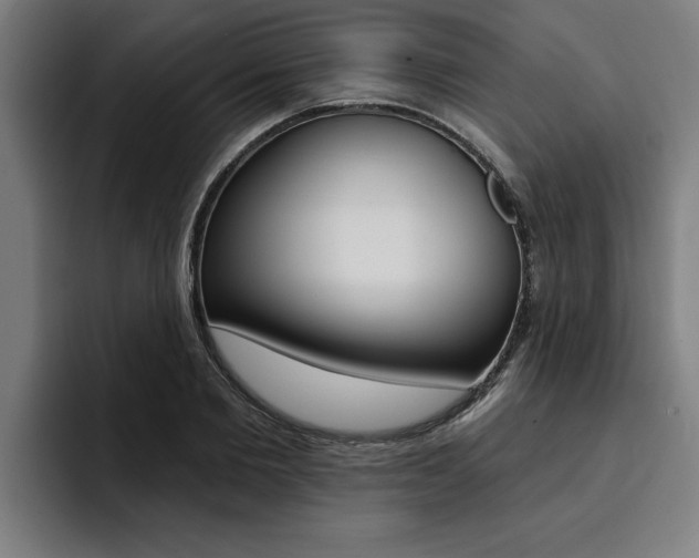 X0000094420885200711080956