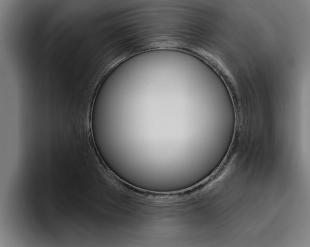 X0000094420889200711080956