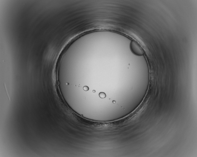 X0000094420891200711080956