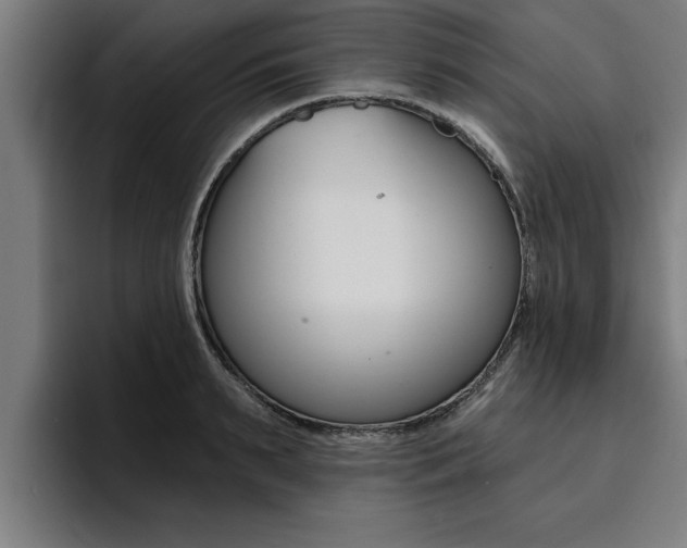 X0000094420895200711080956