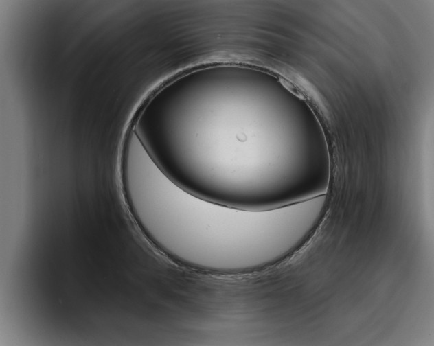 X0000094420896200711080956