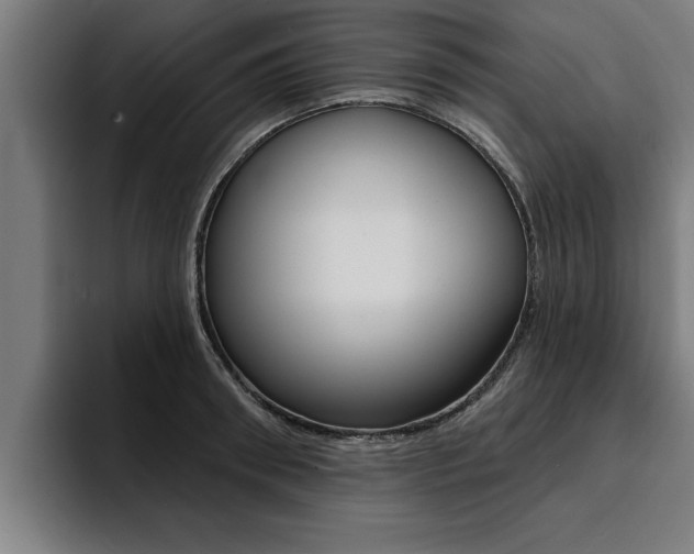X0000094420898200711080956