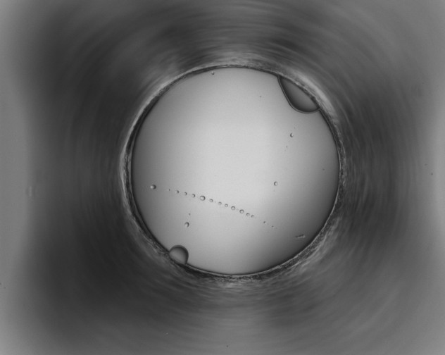 X0000094420899200711080956