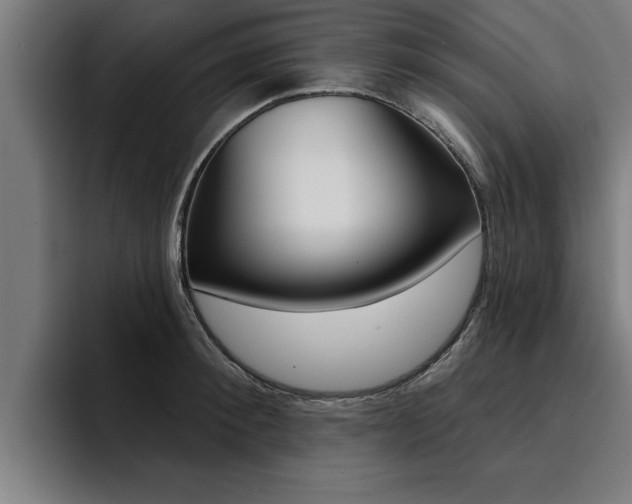 X0000094420900200711080956