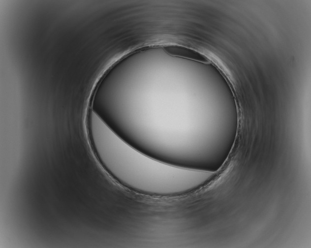 X0000094420901200711080956