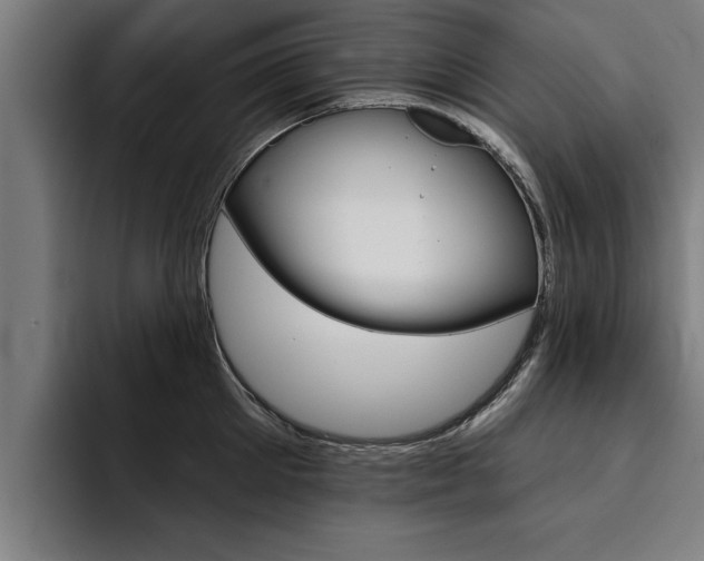 X0000094420905200711080956