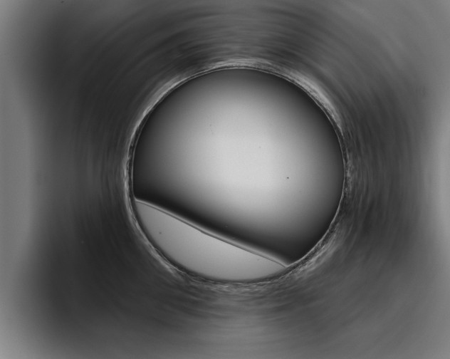 X0000094420906200711080956