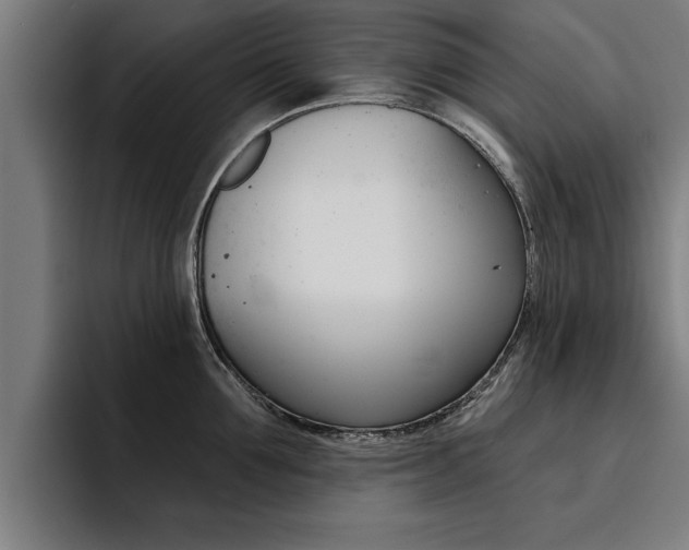 X0000094420907200711080956