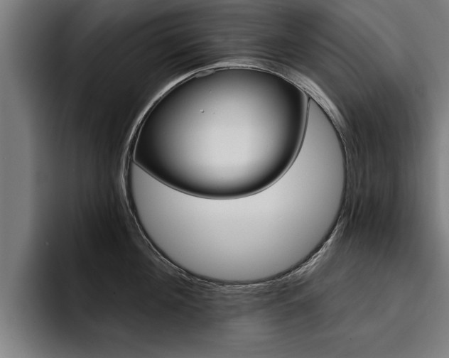 X0000094420908200711080956