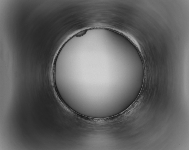 X0000094420911200711080956
