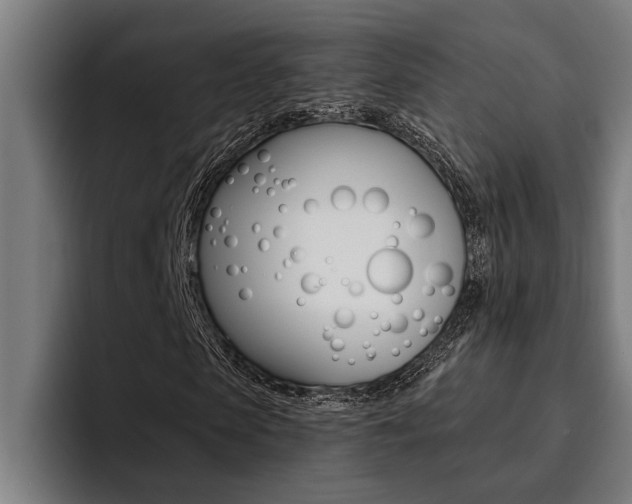 X0000094420913200711080955
