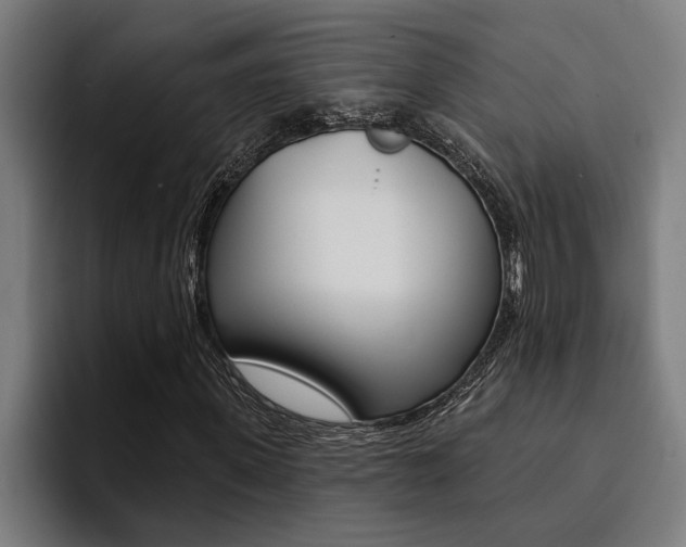X0000094420915200711080955