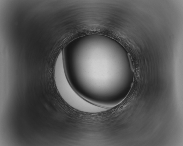 X0000094420916200711080955
