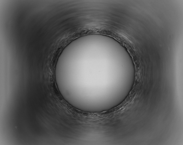 X0000094420917200711080955