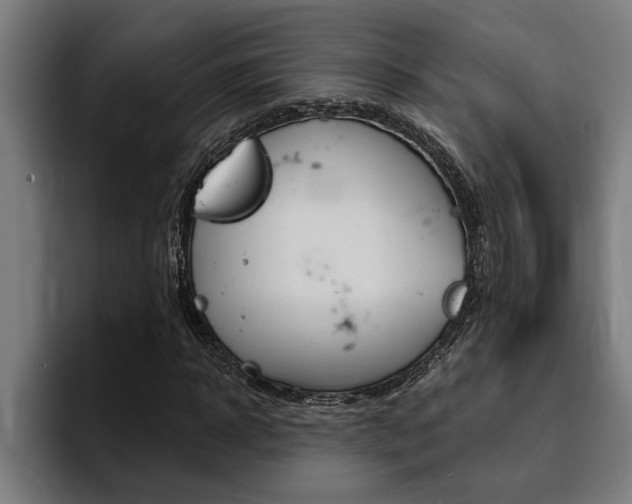 X0000094420918200711080955