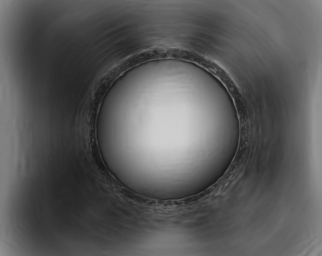 X0000094420919200711080955