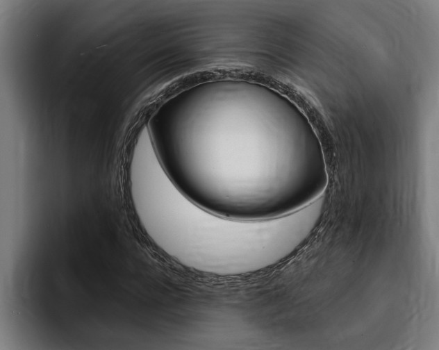 X0000094420920200711080956