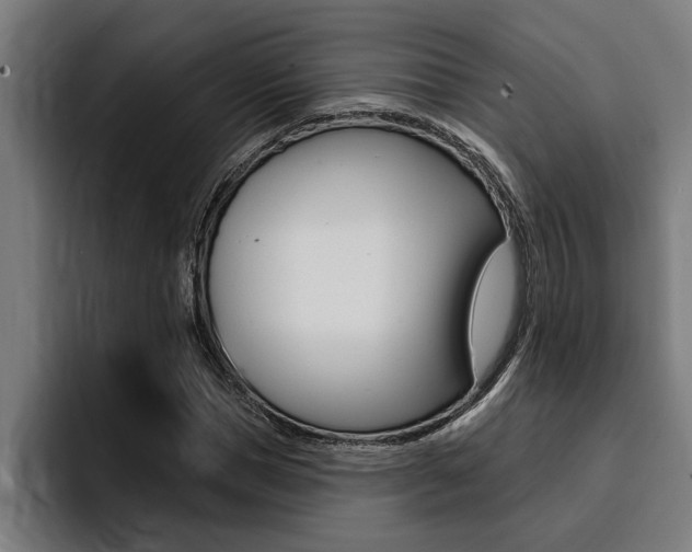 X0000094420921200711080956