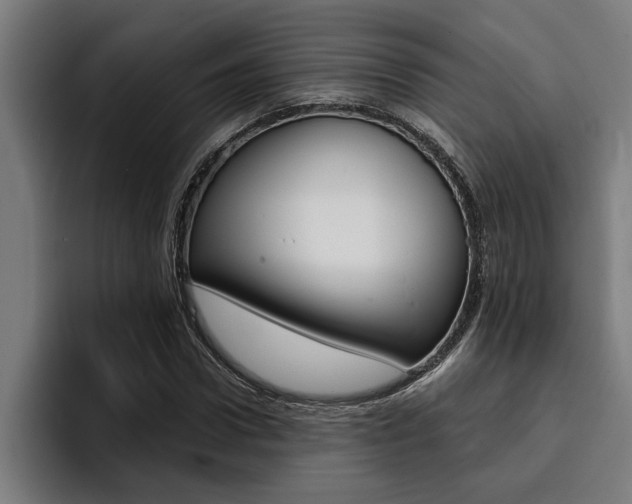 X0000094420922200711080956
