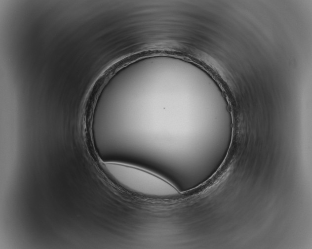 X0000094420923200711080956