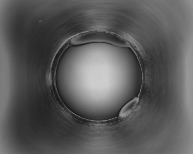 X0000094420924200711080956