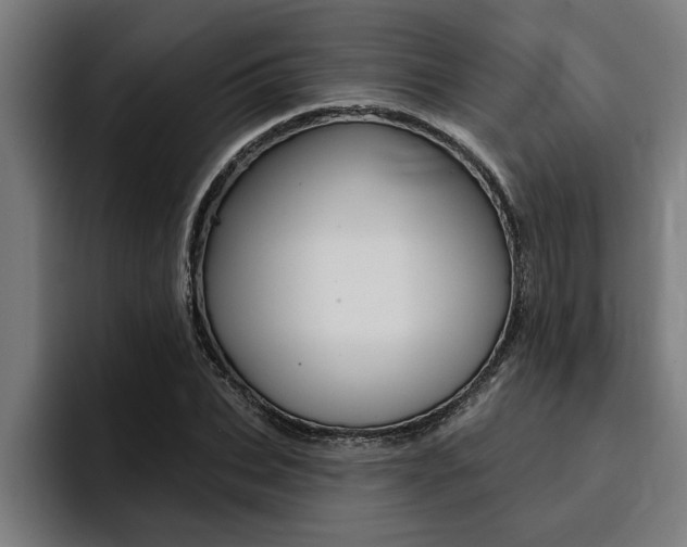 X0000094420927200711080956