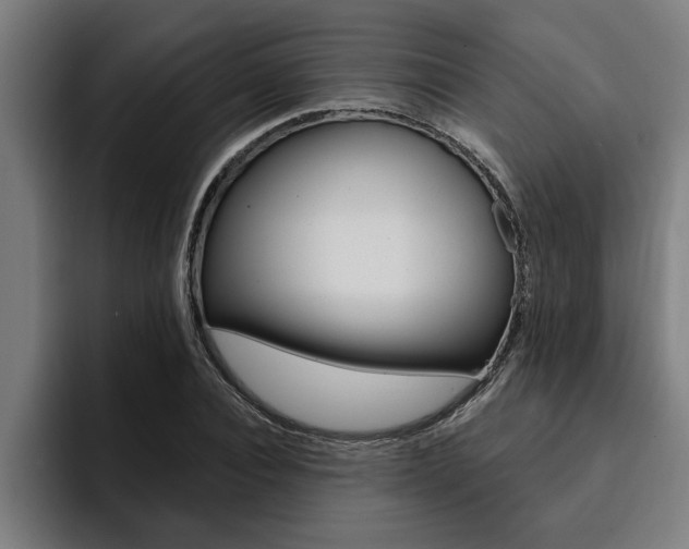 X0000094420928200711080956