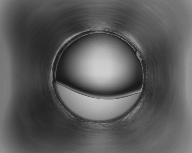 X0000094420932200711080956