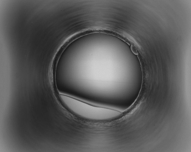 X0000094420934200711080956