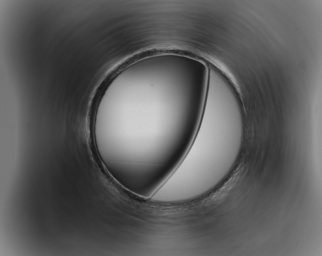 X0000094420935200711080956