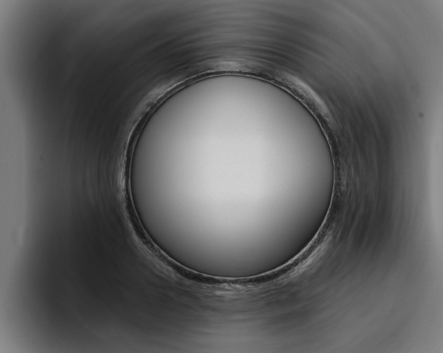 X0000094420938200711080956