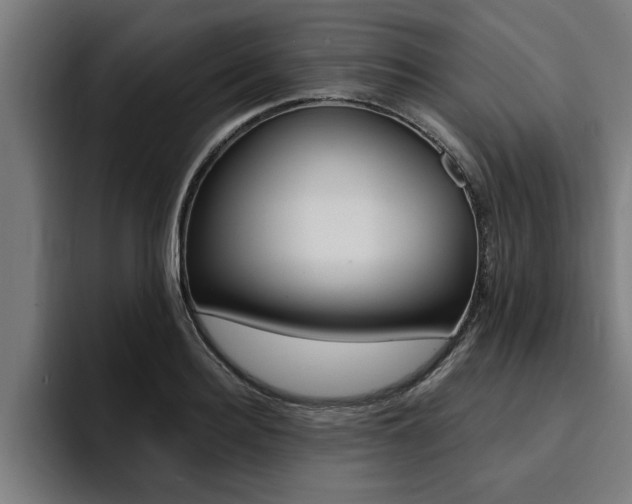 X0000094420940200711080956