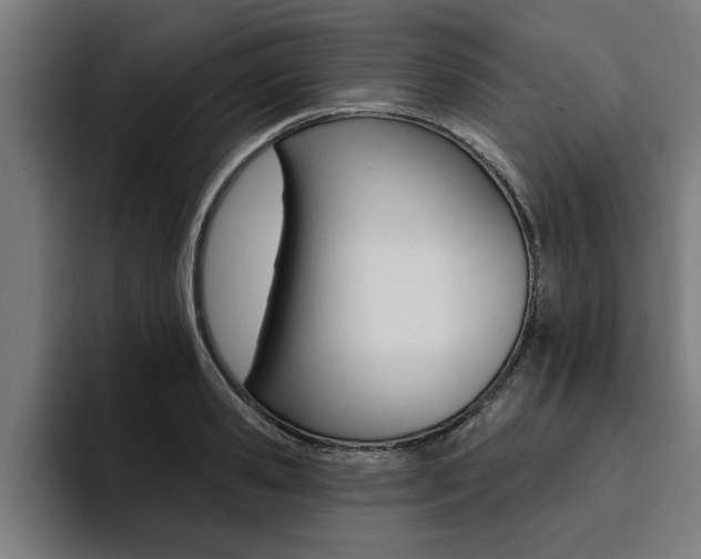 X0000094420941200711080956
