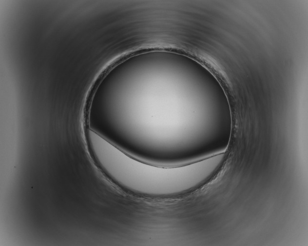 X0000094420942200711080956