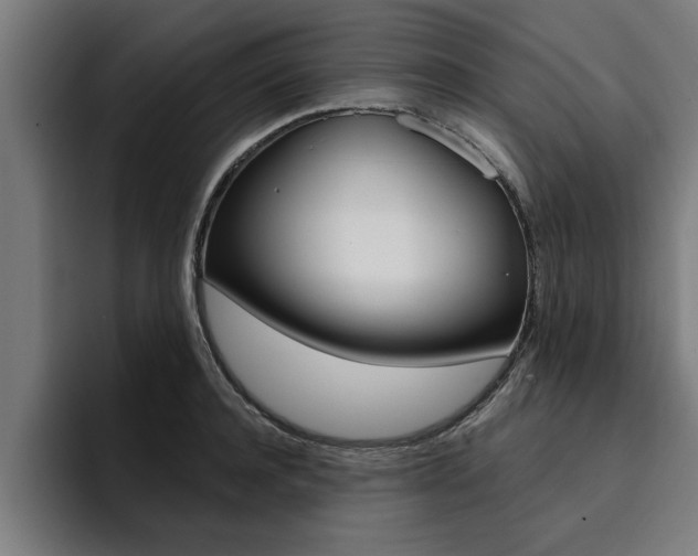 X0000094420944200711080956