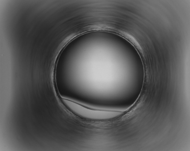 X0000094420946200711080956