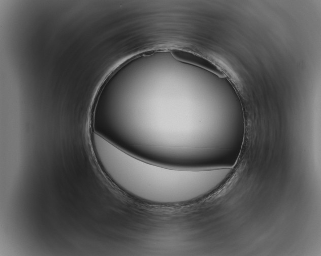 X0000094420948200711080956