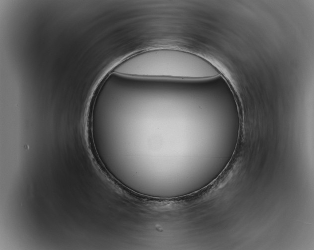 X0000094420949200711080956
