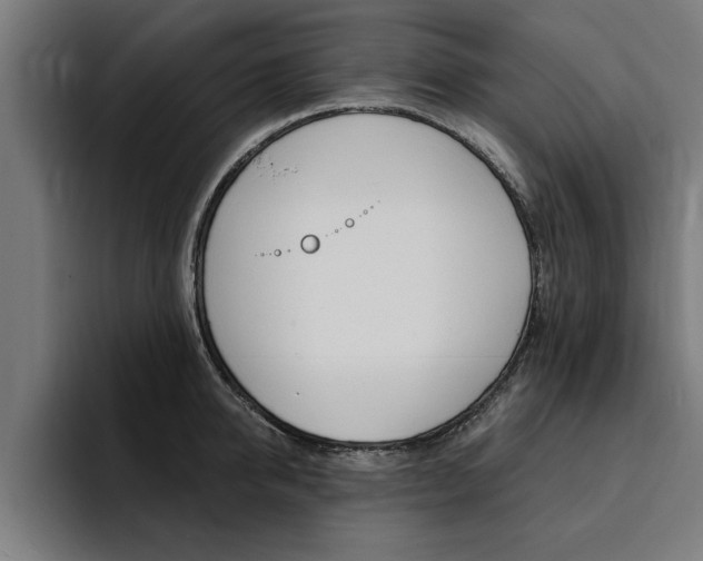 X0000094420950200711080956