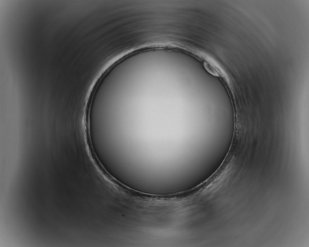 X0000094420951200711080956