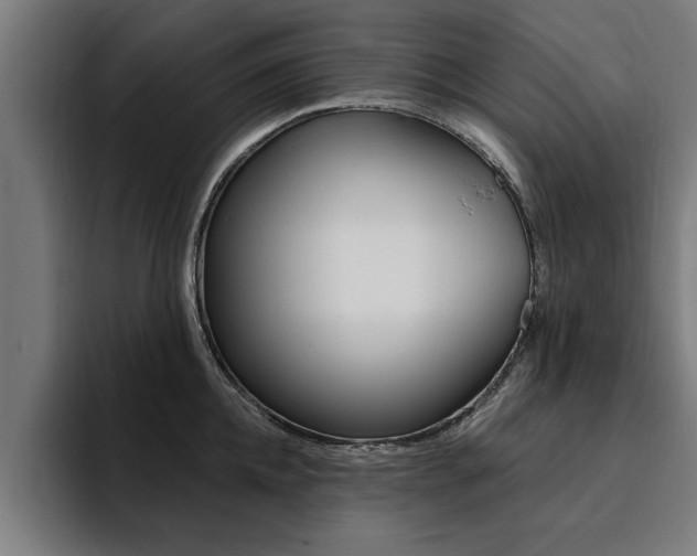 X0000094420952200711080956