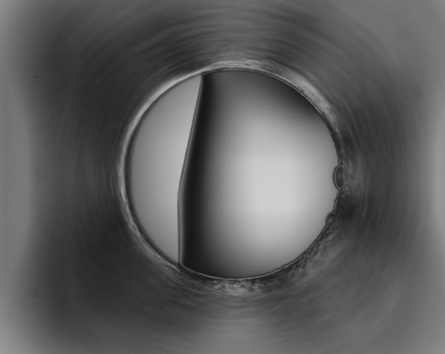 X0000094420955200711080956