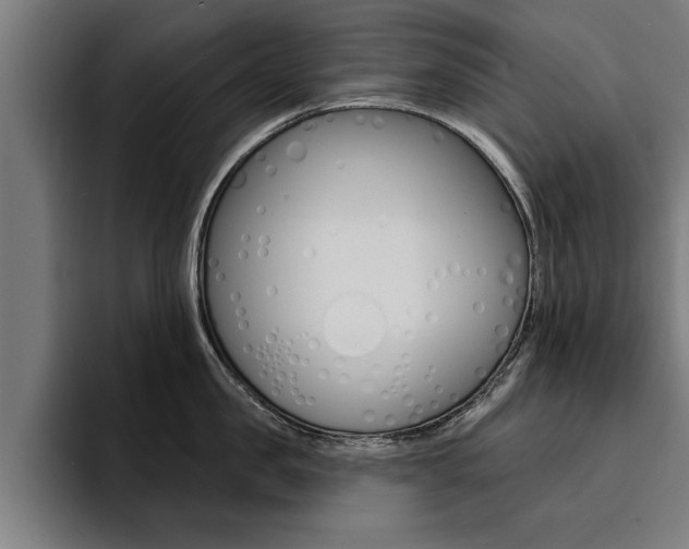 X0000094420957200711080956