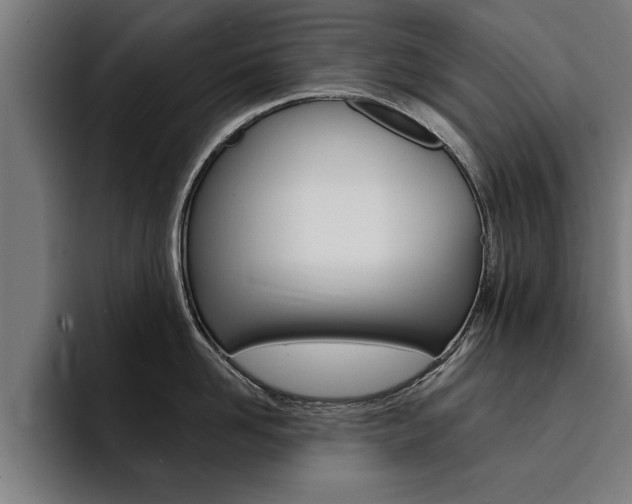 X0000094420958200711080956
