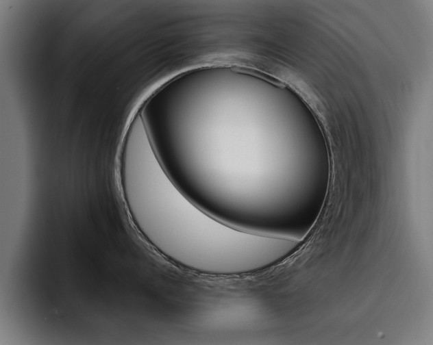 X0000094420960200711080956