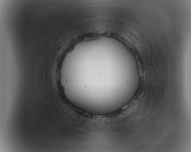 X0000094420961200711080955