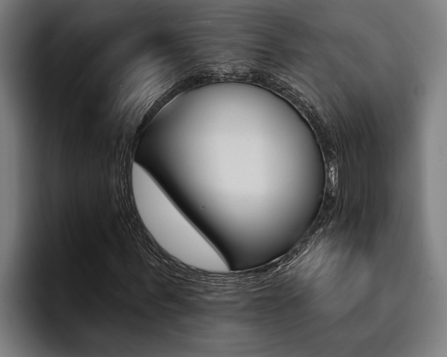 X0000094420963200711080955