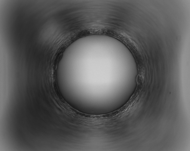 X0000094420964200711080955