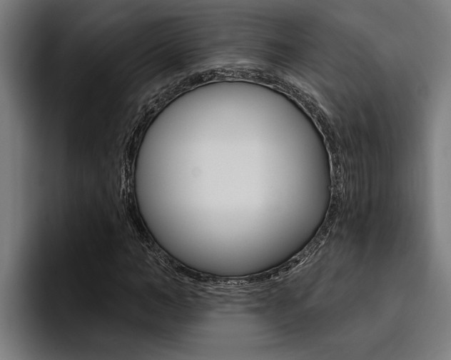 X0000094420966200711080955